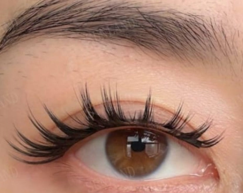 IVY LASHES